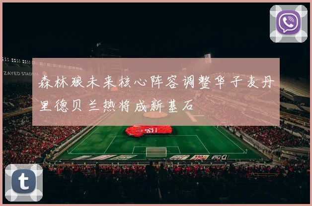 森林狼未来核心阵容调整华子麦丹里德贝兰热将成新基石
