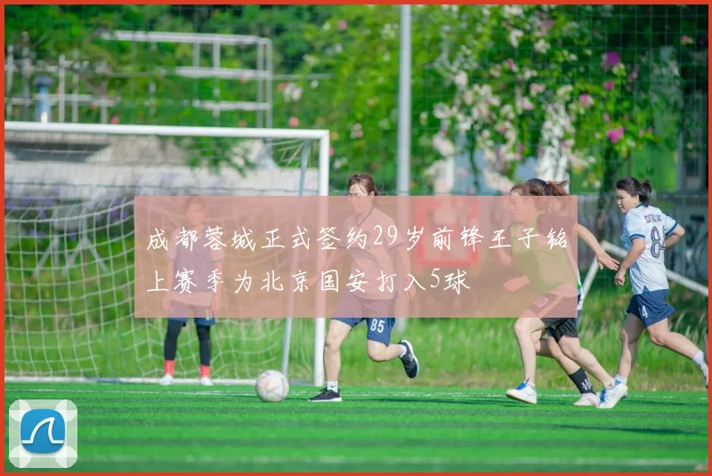 成都蓉城正式签约29岁前锋王子铭上赛季为北京国安打入5球